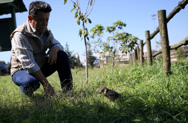 Delice doğanı Şakir ile sağlık teknisyeni Ayhan'ın dostluğu